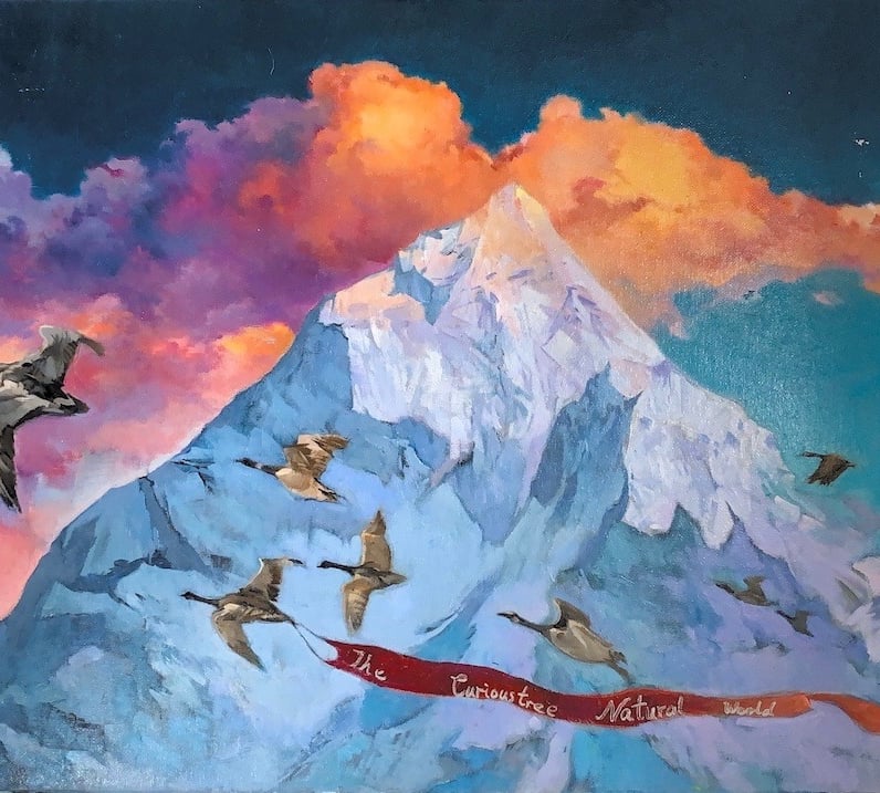 Fly-Free (Fly-Free)